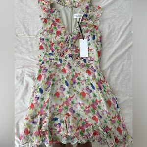 NWT Saloni fawn poppies dress size 10